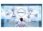 Effortless Payroll Management with PEO Services! - PEO Connection