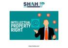 Intellectual Property Registration Services in Ahmedabad | Shahip