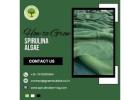 How to Grow Spirulina Algae | How to Produce Spirulina