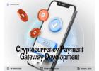 Cryptocurrency Payment Gateway Development