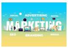 Digital Marketing Experts: S2V Services - SEO, SMO & PPC Strategies That Drive Growth