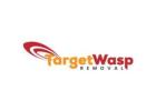 Target Wasp Removal Adelaide