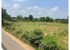 Explore Affordable Plots for Sale in Vadodara