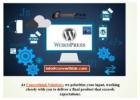 Power Your Website with Converthink’s WordPress Expertise