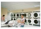 Affordable Niles Laundry Services – Pickup & Delivery Available!