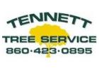 Professional Tree Service Near Me