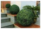 Easy Care Fake Plants for Every Sydney Home