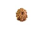 Experience Divine Harmony with 5 Mukhi Rudraksha