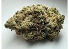 Buy Apple Fritter Strain Online