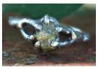 Exquisite Raw Natural Diamond Rings at Affordable Prices