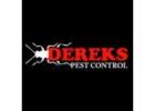 Dereks Wasp Control Brisbane