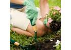 Affordable Landscaping and Garden Maintenance in Wollongong