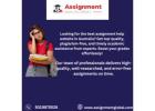 Best Assignment Help Website Australia: Your Academic Success Partner