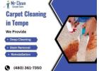 Freshen Up Your Home with Professional Carpet Cleaning.