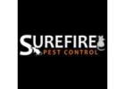 SureFire Possum Removal Brisbane