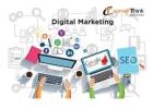 Leading Digital Marketing Agency in India – Converthink