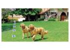 Outdoor Dog Containment Systems