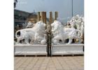 Large White Marble Lion Statues for Garden and Home Entrance