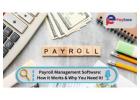 Why You Need Payroll Management Software and How It Works!