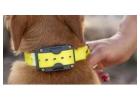 E Collar For Small Dogs