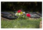 Honor Loved Ones with Professional Funeral Webstream Services in Wellington