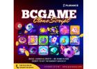 Tap into the Booming Crypto Casino Market with a BC.Game Clone Script!