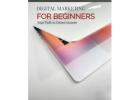 HOW TO EARN $47 - $900 ONLINE AS A BEGINNER -