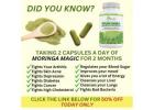 Moringa Magic