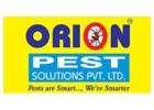 Affordable & Effective Termite Pest Control Services – Book Now!