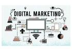 S2V Infotech: Leading Digital Marketing & SEO Services to Transform Your Online Presence