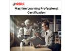 The Role of Machine Learning Professionals in the Future of AI and Automation