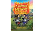 How Lakeland Mysteries Design Combines Mystery, Nature, and Creativity ?