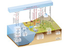 remove carbon from the air