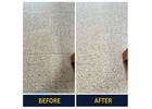Need Professional Carpet Cleaning in Adelaide? We’ve Got You Covered