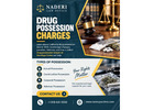 How Can a Drug Possession Lawyer Defend Your Case in Van Nuys?