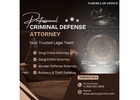 How Does a Criminal Defense Attorney Build a Defense Strategy?