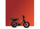 Feel the Island Breeze with Anna Maria Island eBike Rentals