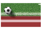 Football Turf Construction in India | Football Turf Manufacturer