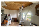 Mold Removal and Remediation Services Across Florida