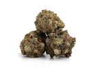 Purple Kush: Discover the Flavor and Appeal of This Popular Indica Strain
