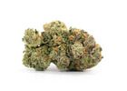 Buy Critical Kush Strain Online in Canada