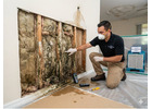 Worried About Hidden Mold? Discover Why Professional Mold Testing Matters