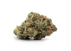 OG Shark: Discover the Distinctive Aroma and Appeal of This Indica Cannabis Strain in Vancouver