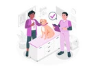 Optimize Your Outreach With Our Verified Veterinarian Email List - FountMedia