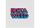Can Tourists Buy Weed in Ibiza? - Ibiza Weed