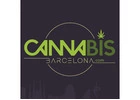 Can Tourists Buy Weed in Barcelona? - Cannabis Barcelona