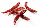 Dry peppers