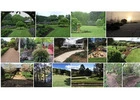 Comprehensive Gardening Services by Semms Property Services in Bowral